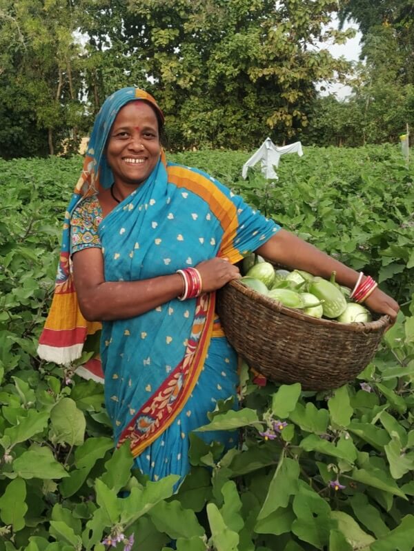 home thematic area livelihood security